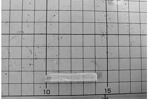 水溶液法低温制备钼酸锂晶体的方法