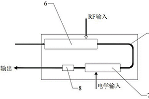 基于铌酸锂薄膜的可调谐集成光生微波源芯片及系统