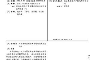 大容量聚合物锂离子电池及其制造方法