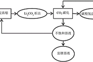 碳酸盐型盐湖卤水富集锂盐同时提取钾盐的方法
