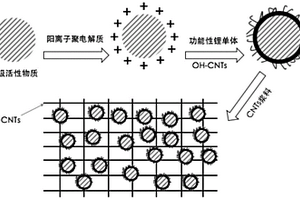 锂电池复合正极及其制备方法