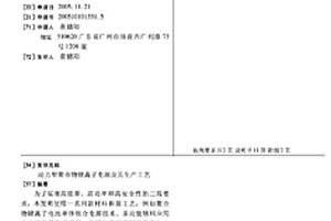动力型聚合物锂离子电源及其生产工艺