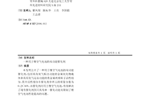 用于锂空气电池的双功能催化剂