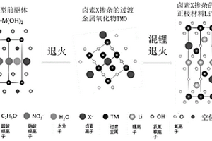 锂离子电池正极材料中掺杂阴离子的方法及正极和电池