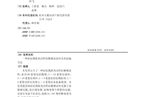 硅烷偶联剂改性硅酸锂基涂料及其制备方法