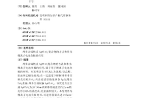 两步合成核壳Ag@TiO2复合物的方法和作为锂离子电池负极的应用