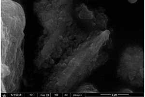 氮掺杂碳复合的SnFe<sub>2</sub>O<sub>4</sub>锂离子电池负极材料及其制备方法与应用