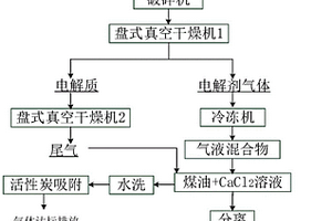 废旧锂电池电解液的无害化回收处理方法及装置