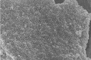 锂离子电池负极用三维纳米多孔锡基合金的制备方法