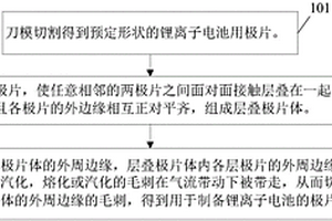 锂离子电池用极片处理工艺
