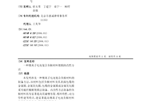 锂离子电池复合负极材料镀膜的改性方法