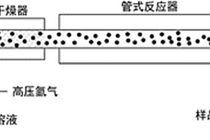 硫化锂电极和方法
