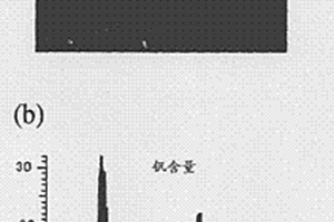 锂电池及其制备方法
