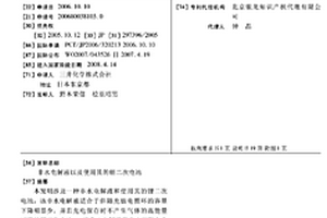 非水电解液以及使用其的锂二次电池