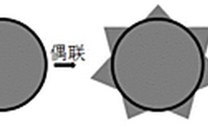 锂离子电池用硅复合负极材料及其制备方法