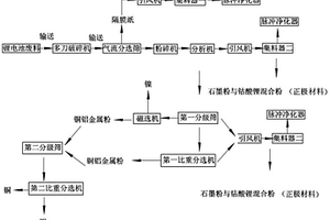 废锂电池处理系统