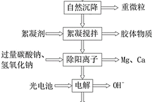 离子膜法制备高纯度碳酸锂工艺