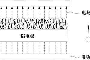 用于锂硫电池的金属-硫电极及其制备方法