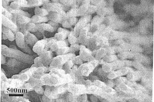 锂离子电池负极材料中空锗纳米管阵列电极及其制备方法