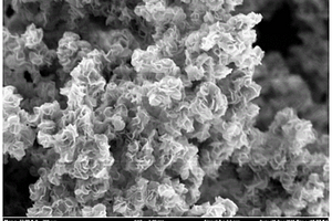 基于片层MoS<Sub>2</Sub>作为阳极的高倍率锂离子电池的制备方法