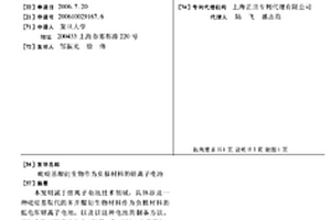 吡啶基醌衍生物作为负极材料的锂离子电池