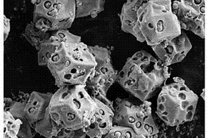 CoS空心壳包埋TiO<sub>2</sub>纳米颗粒的锂离子电池负极材料及其制备方法