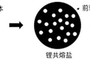 基于熔盐法的高锂含量氚增殖陶瓷小球制备方法