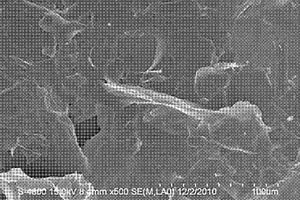 氧化石墨烯衍生物锂盐及其制备方法和用途