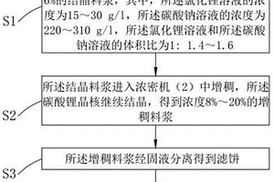 碳酸锂生产系统及工艺