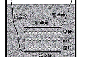 近化学计量比钽酸锂晶片的极化方法