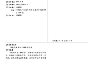 活性电解质双V锂聚合电池