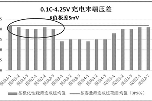 三元锂离子单体电池按极化性能筛选进行PACK的工艺