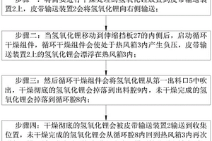 特级电池级氢氧化锂的制造装置及其制造方法