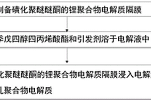 多孔聚合物电解质及制备方法、锂金属电池