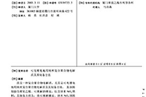 可充锂电池用纳米复合聚合物电解质及其制备方法