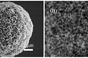 高活性、高结构稳定性NiFe<Sub>2</Sub>O<Sub>4</Sub>/C复合锂离子电池负极材料及其制备方法和应用