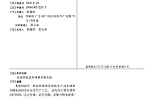 高能量低成本锂聚合物电池