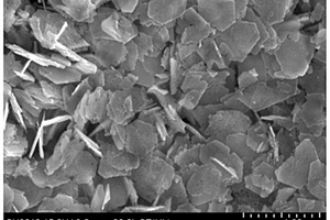 锂离子电池负极用多孔薄片状TiNb<sub>2</sub>O<sub>7</sub>纳米晶的制备方法