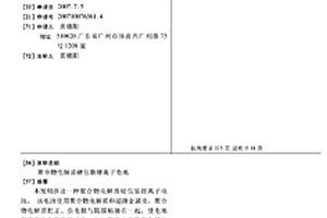 聚合物电解质硬包装锂离子电池
