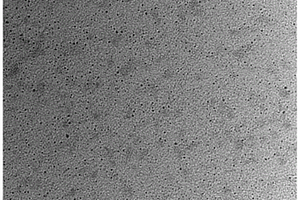 C4N量子点材料及其制备方法、锂硫电池隔膜