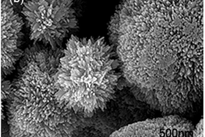 锂离子动力电池二氧化钛纳米粒子负极材料及其制备方法