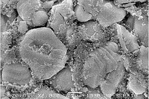 非水性锂离子电池正极用浆料