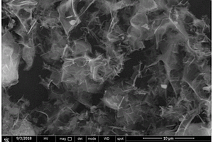 二维纳米片结构过渡金属-N-C材料的制备方法及其在锂硫电池上的应用