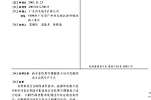 高安全性聚合物锂离子动力电池的设计及其生产工艺