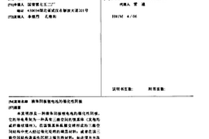 液体阴极锂电池的催化性阴极