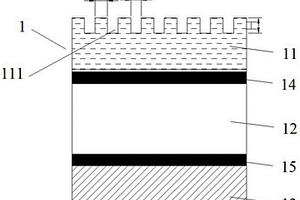 锂离子电池用铝塑膜及其表面处理装置
