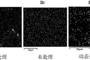 锂电池石墨负极SBR粘结剂在极片中分布均一性的检测方法