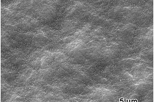 锂硫电池用有机高分子增强石墨烯插层材料