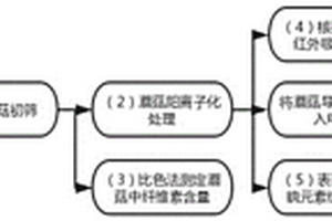 阳离子化蘑菇导离子膜的制备方法及其在锂离子电池中的应用