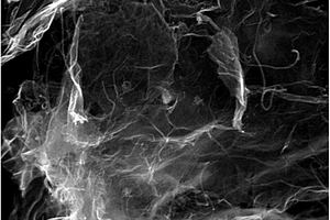 锂硫电池用石墨烯碳纳米管复合导电骨架的制备方法